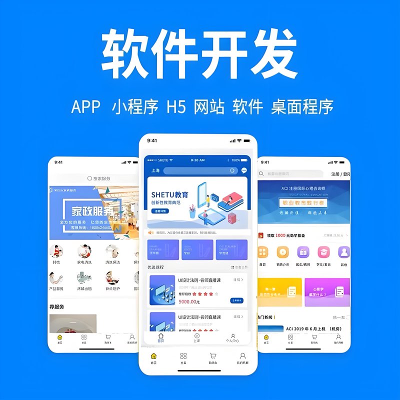 软件开发定制:从客户需求到个性化解决方案的全流程解析